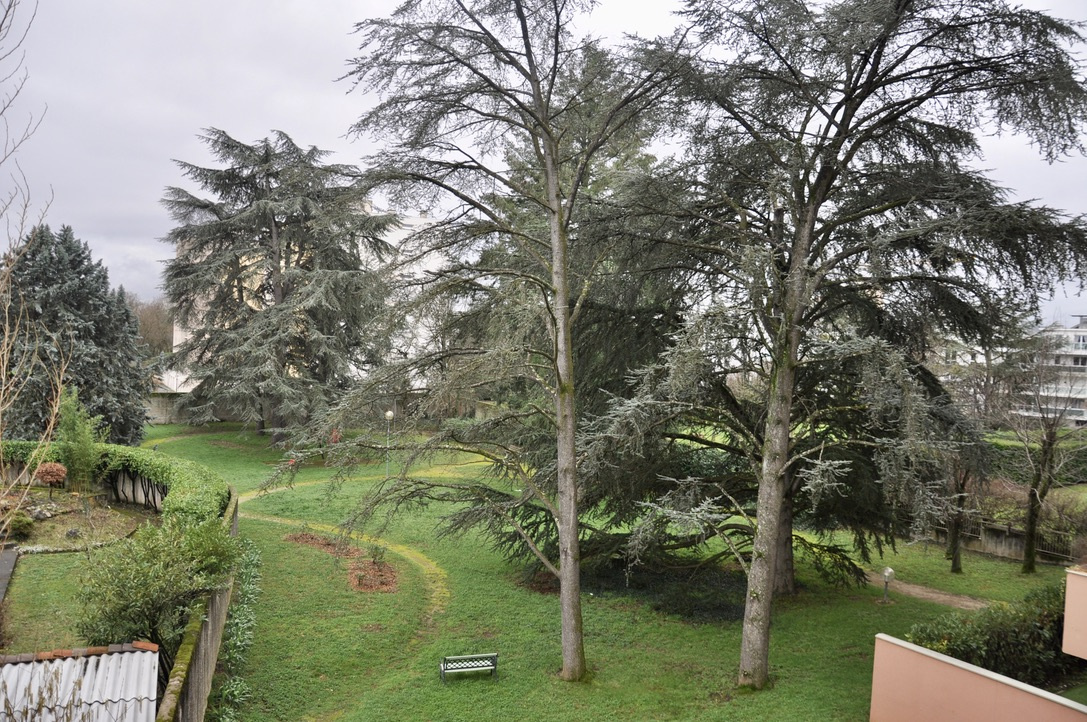 Photo bien immobilier